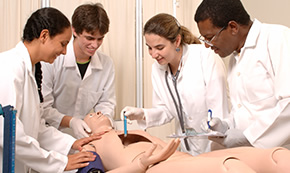 lab-anatomia