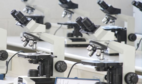 lab-microscopia